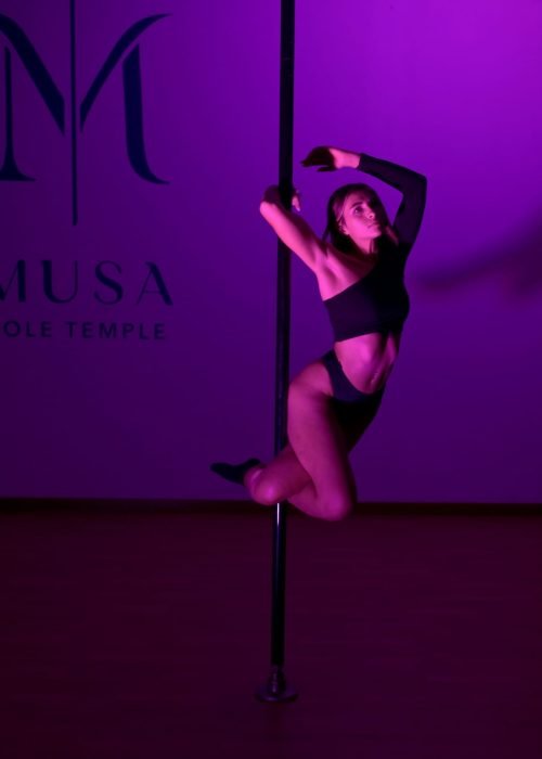 palestra pole dance torino